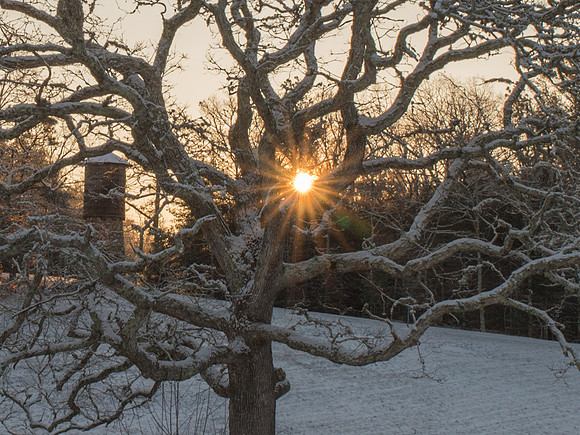The tree, tower and rising sun at Wildlands Trust   untitled-0006535