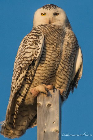"Who" you looking at???