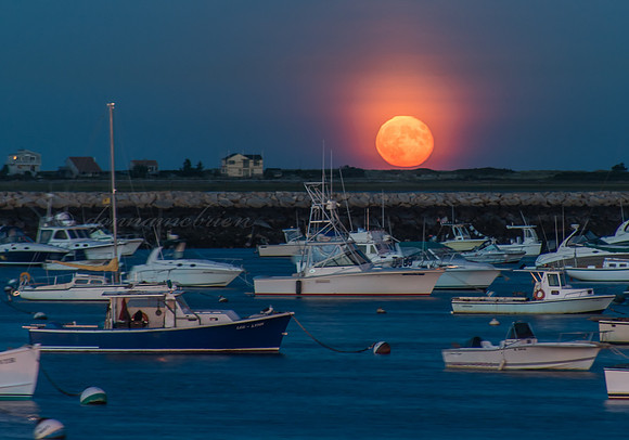 Harvest Moon 9-20-13