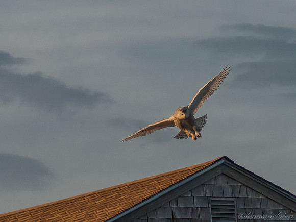 Incoming!!!!