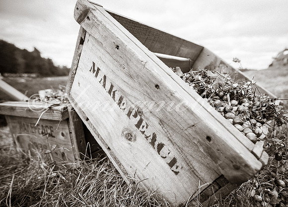 Could be a scene from yesteryear -box on left is stamped 1938