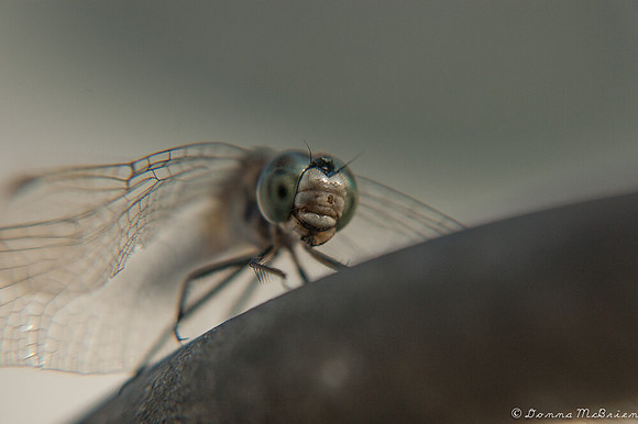 20120902-DSC_0074