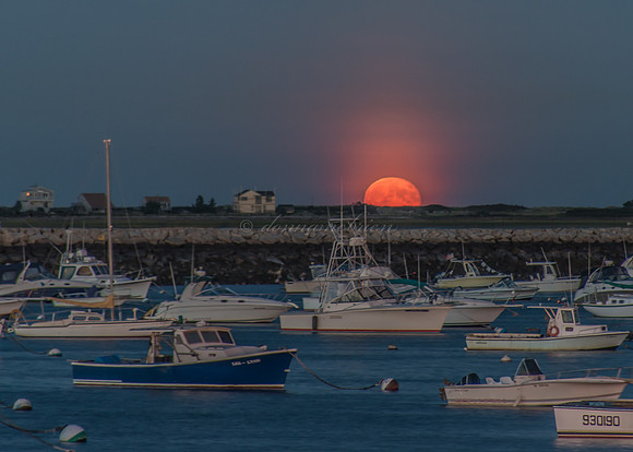 Harvest Moon 9-20-13
