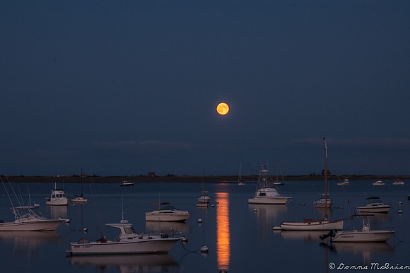 20120930-DSC_0030