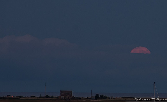 20120930-DSC_0004