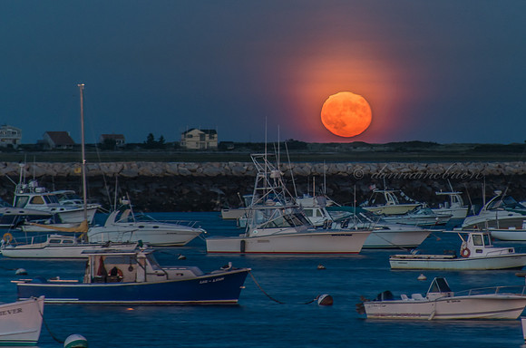 Harvest Moon 9-20-13