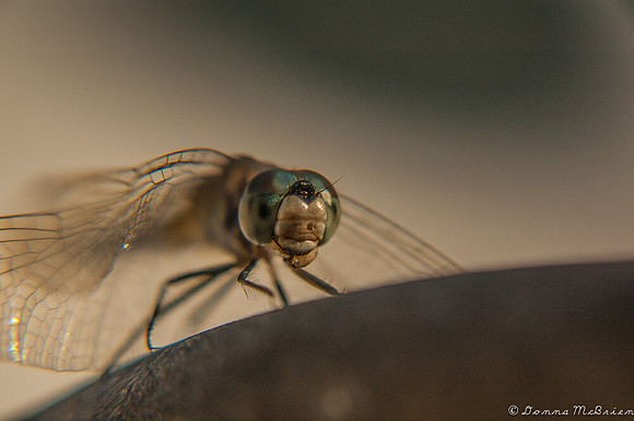 20120902-DSC_0072