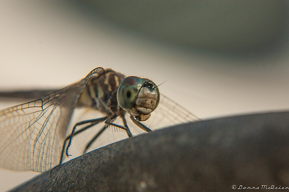 20120902-DSC_0077