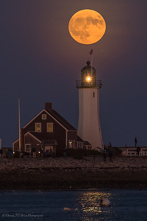 Hunter's Moon Scituate Lighthouse